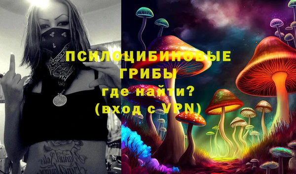мдма Елизово