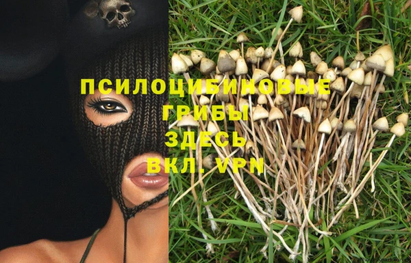 мдма Елизово