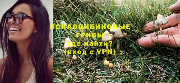 мдма Елизово